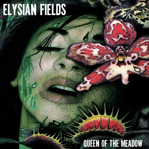 Queen of the Meadow.jpg