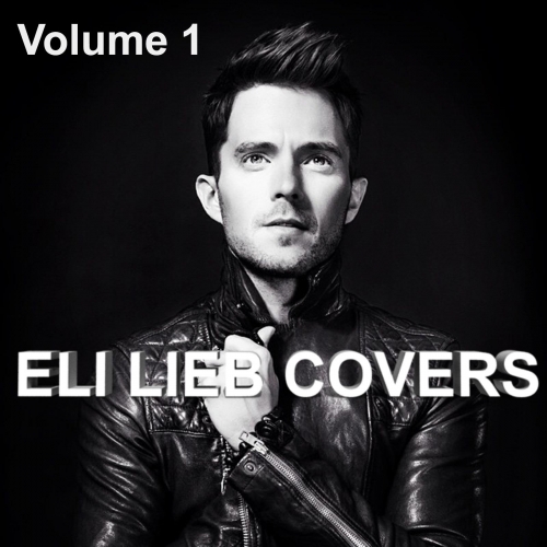 Eli Lieb Covers, Vol. 1.jpg