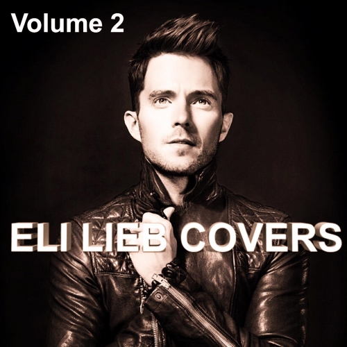 Eli Lieb Covers, Vol. 2.jpg