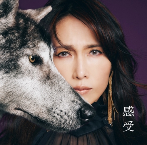 感受 -Shizuka Kudo 35th Anniversary self-cover album.jpg