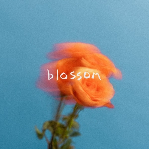 Blossom.jpg