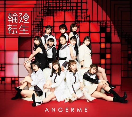 Ëº™ÂªªËª¢Áîü~ANGERME Past, Present &amp; Future~.jpg