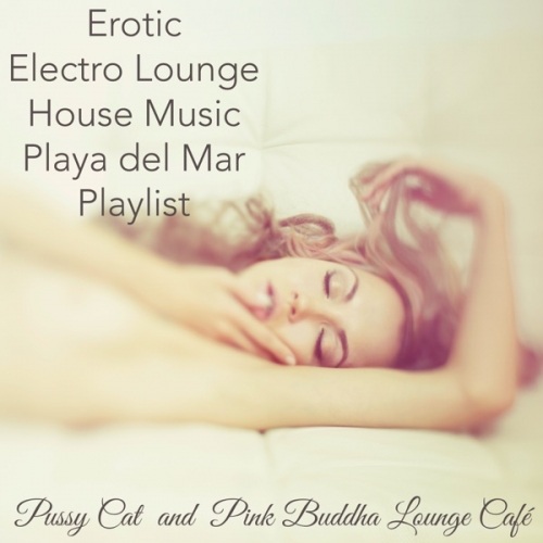 Erotic Electro Lounge House Music Playa del Mar Playlist.jpg