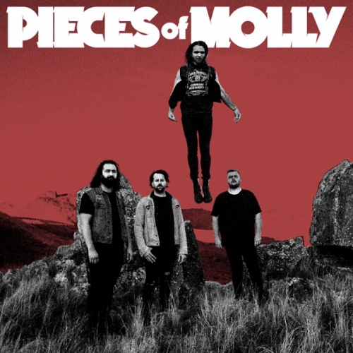 Pieces Of Molly.jpg