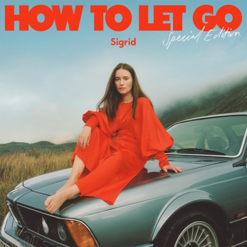 How To Let Go (Special Edition).jpg