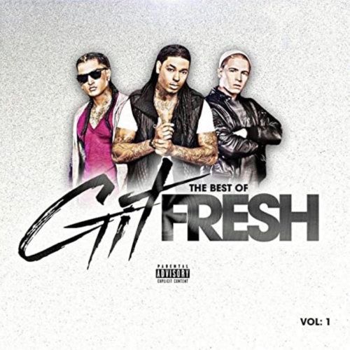 The Best of Git Fresh, Vol. 1（2020）.jpg