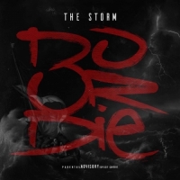 Do Or Die - The Storm