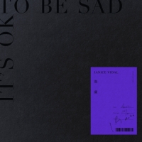 衛蘭 - It_s OK To Be Sad