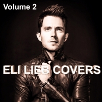 Eli Lieb - Eli Lieb Covers, Vol. 2