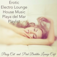 Pink Buddha Lounge Café & Pussy Cat - Erotic Electro Lounge House Music