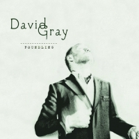 David Gray - Foundling (Deluxe Edition)