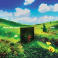 Rainbow Kitten Surprise - bones