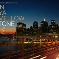 Various Artists - In Ya Mellow Tone 3