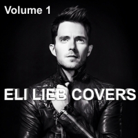 Eli Lieb - Eli Lieb Covers, Vol. 1