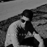 Aamir - Nice for What - Single