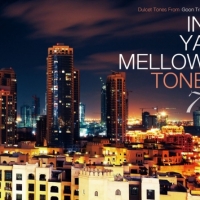 Various Artists - In Ya Mellow Tone 7