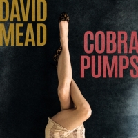 David Mead - Cobra Pumps