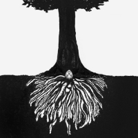 Eryn Allen Kane - a tree planted by water