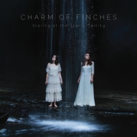 Charm of Finches - Staring at the Starry Ceiling