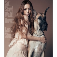 安室奈美恵（洗版）- Sit! Stay! Wait! Down!_Love Story