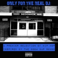 Various Artists - Only For The Real DJ: A Premier Selection of Hip Hop Inspir...