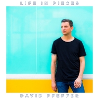 David Pfeffer - Life in Pieces