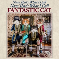 Fantastic Cat - Now That's What I Call Now That’s What I Call Fantastic Cat...
