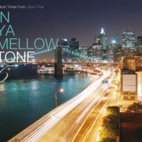 Various Artists - In Ya Mellow Tone 6