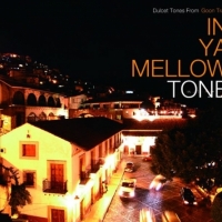 Various Artists - In Ya Mellow Tone