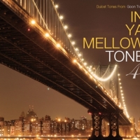 Various Artists - In Ya Mellow Tone 4