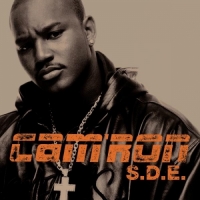 Cam'ron - S.D.E.